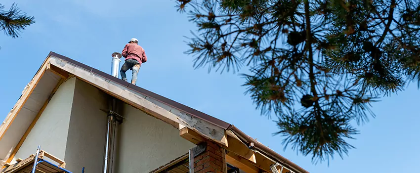 Birds Removal Contractors from Chimney in West Odessa, TX
